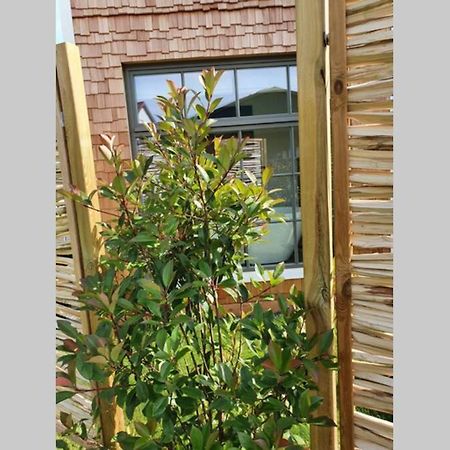 Apartament Tiny Loft Im Suedhessischen Ried Trebur Zewnętrze zdjęcie